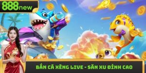 Bắn Cá Xèng Live - Khám Phá Hành Trình Săn Xu Đỉnh Cao