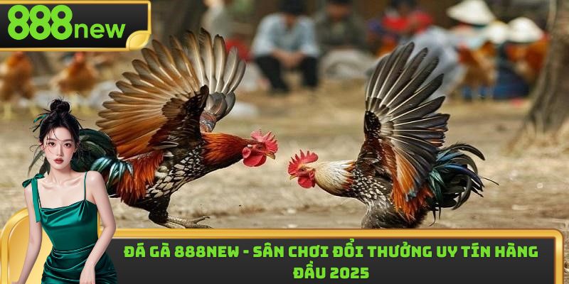 Đá Gà 88 - Trang Giải Trí Trực Tuyến, Uy Tín, Miễn Phí Top 1