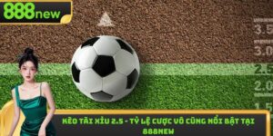 Kèo Tài Xỉu 2.5 - Tỷ Lệ Cược Vô Cùng Nổi Bật Tại 888new