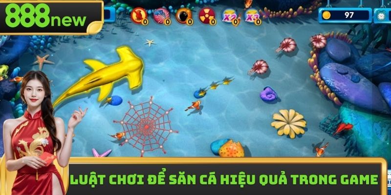 Nắm chắc luật chơi để săn cá hiệu quả trong game 
