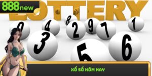 Xổ Số Hôm Nay: Dự Đoán Kết Quả Xổ Số Ba Miền Chính Xác